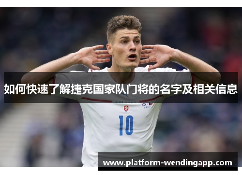 如何快速了解捷克国家队门将的名字及相关信息